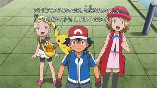 xy66 (2)