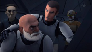 sw (48)