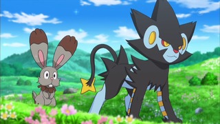 xy (20)