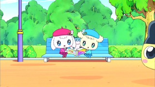 tama (29)