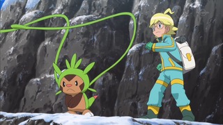 xy (150)