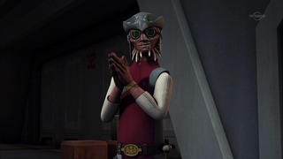 sw (33)
