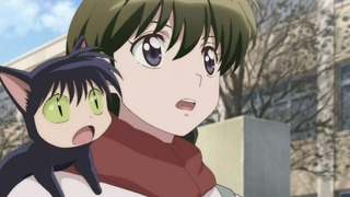 rin-85