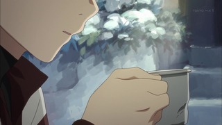 cap (26)