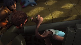sw (41)