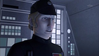 sw (21)