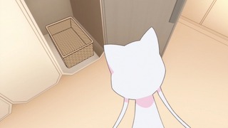 cap (109)