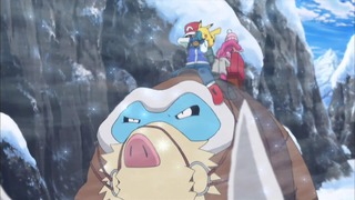 xy (70)