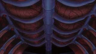 zimage00334-50