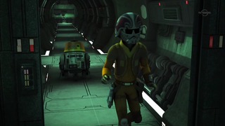 sw (14)