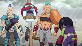 cap (16)