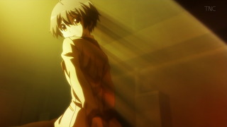 cap (13)