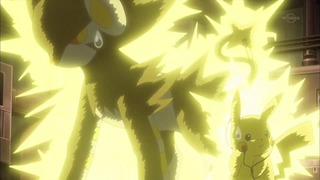 xy (55)