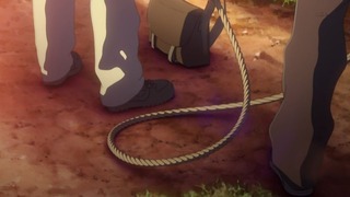 cap (249)