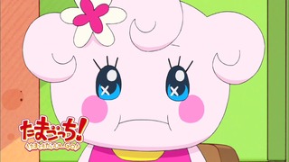 tama (29)