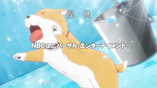 cap (17)