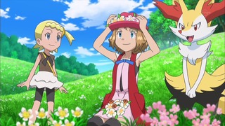 xy (31)