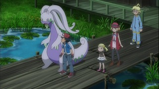 xy (19)