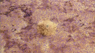 log14 (13)