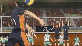 cap (228)