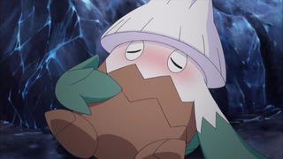 xy (56)