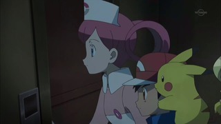 xy (21)