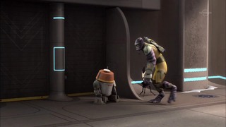 sw (29)