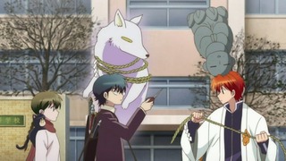 rin-120