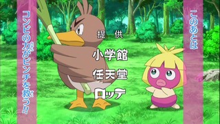 xy49 (90)