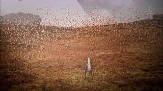 cap (49)