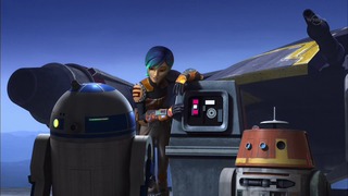sw (66)