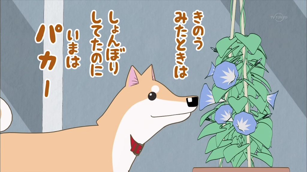 アニメ万国情報館 いとしのムーコ 第話 こまつさん 朝顔が咲いてますよ 感想 画像あり アニメ万国情報館 いとしのムーコ 第話 こまつさん 朝顔が咲いてますよ 感想 画像あり