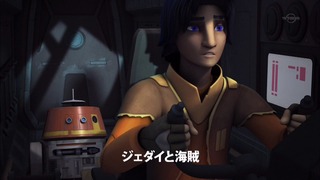 sw (11)