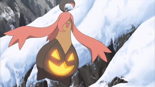 xy (51)