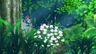 cap (57)
