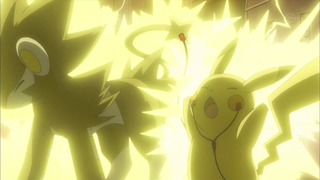 xy (47)