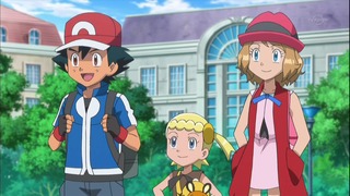 xy66 (6)
