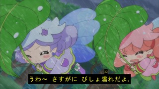 cap (41)