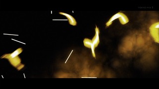 zimage00042-50