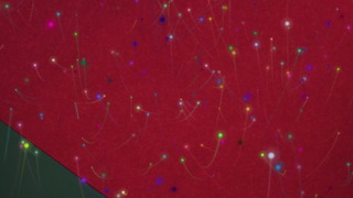 1450371153700