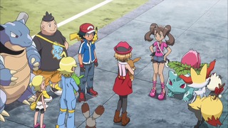 xy (49)