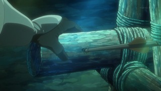 cap (345)