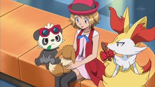 xy (116)