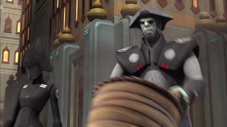 sw (54)