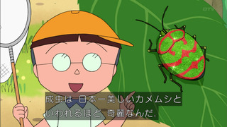 maruko-203