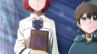cap (306)