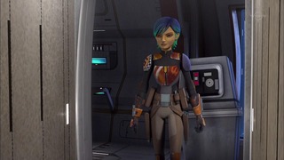 sw (44)