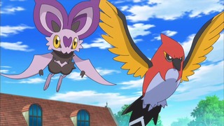 xy (93)