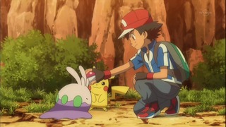 xy (161)