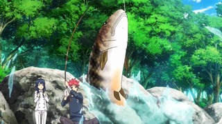 soma_81